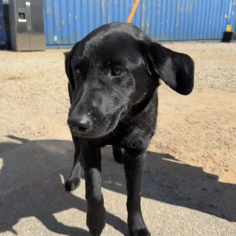 Jacksonville thumbnail 2