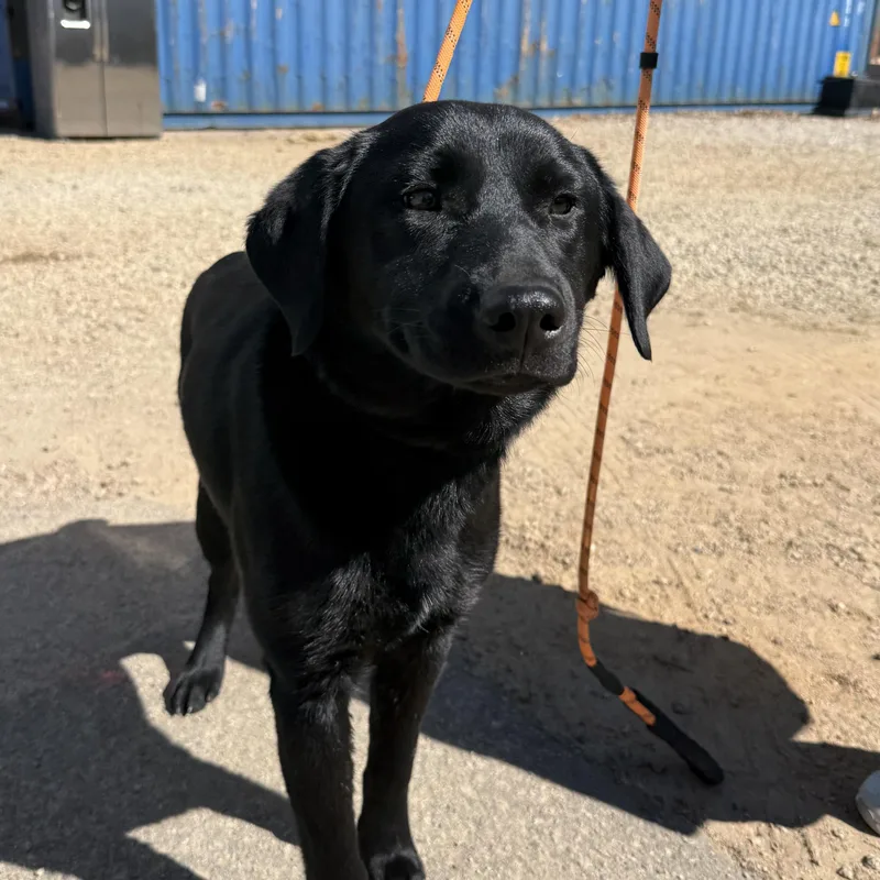 Jacksonville thumbnail 3