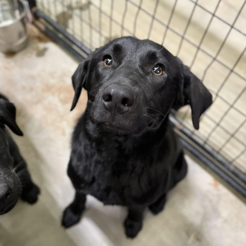 Jacksonville thumbnail 4