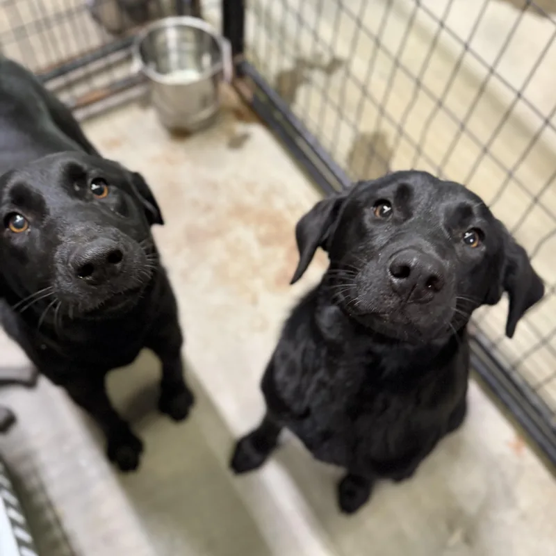 Jacksonville thumbnail 5