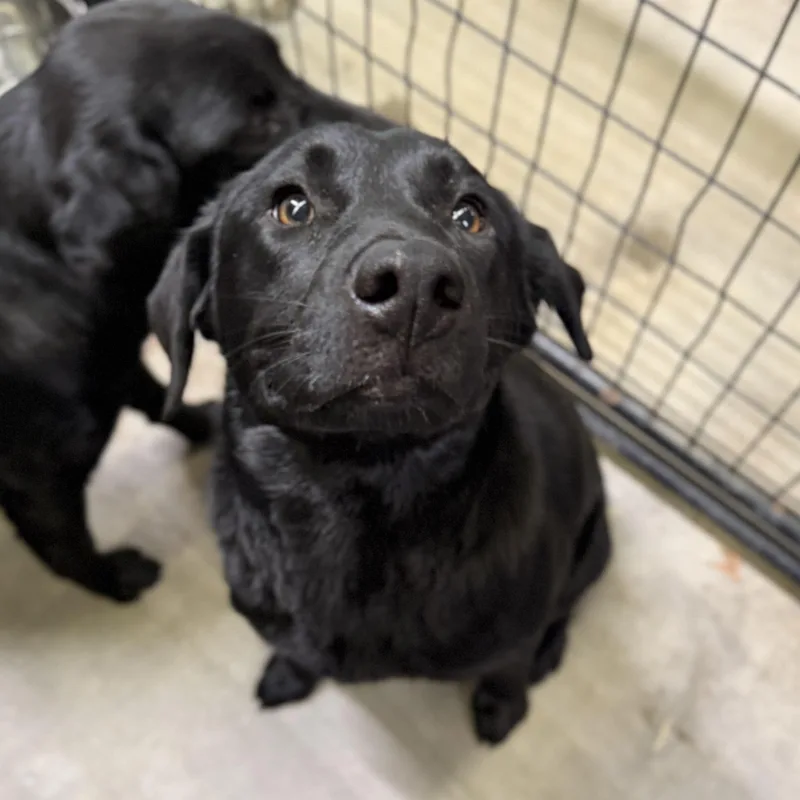 Jacksonville thumbnail 6