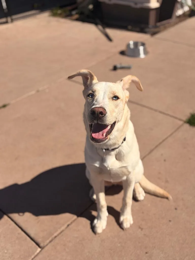 Winnie