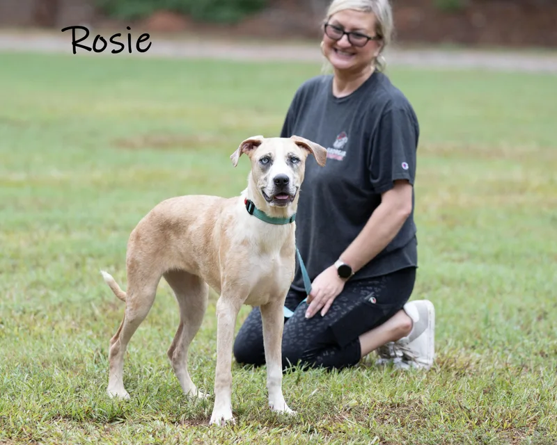 Rosie