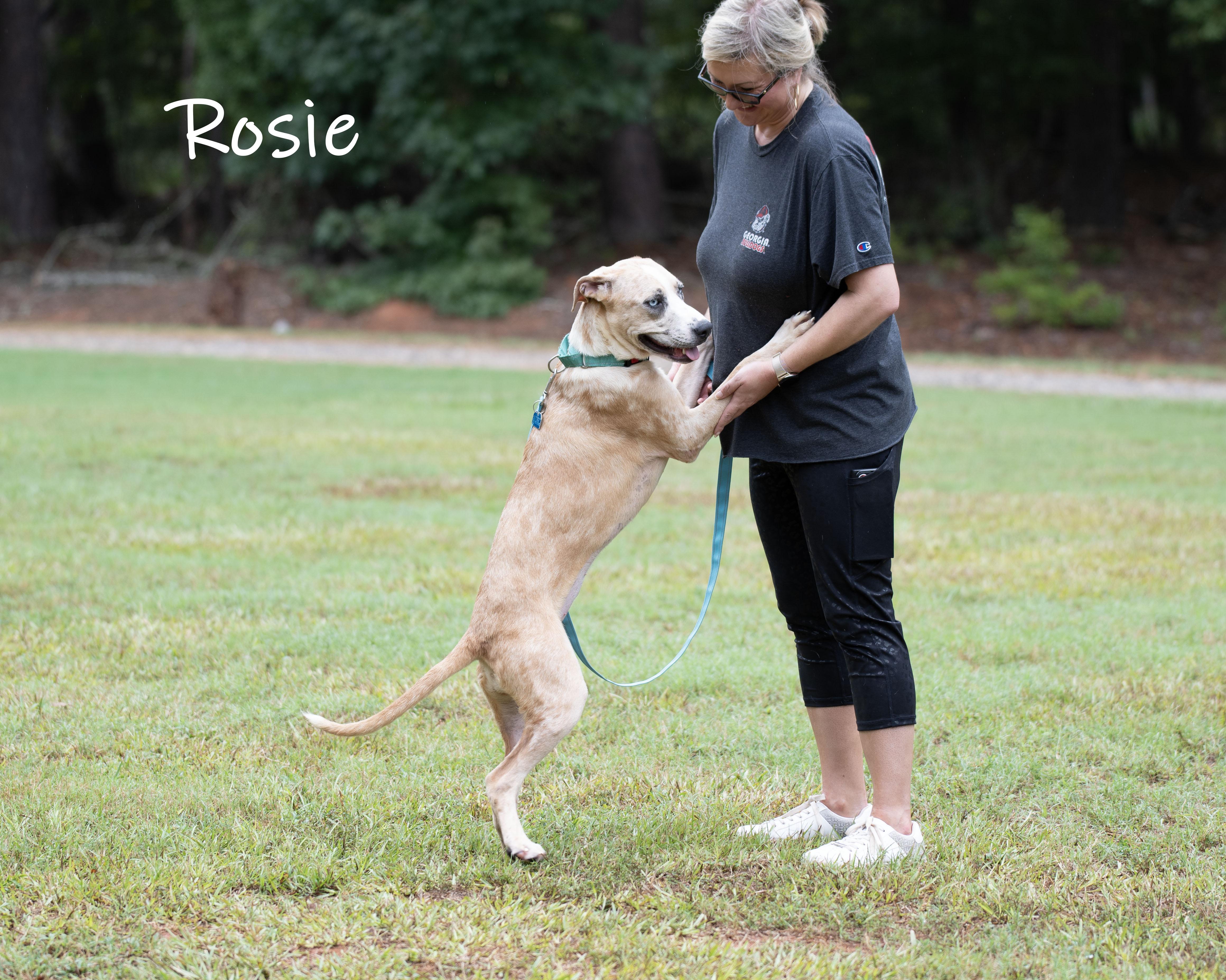 Rosie thumbnail 2