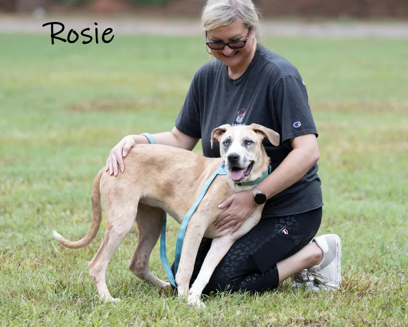 Rosie thumbnail 3