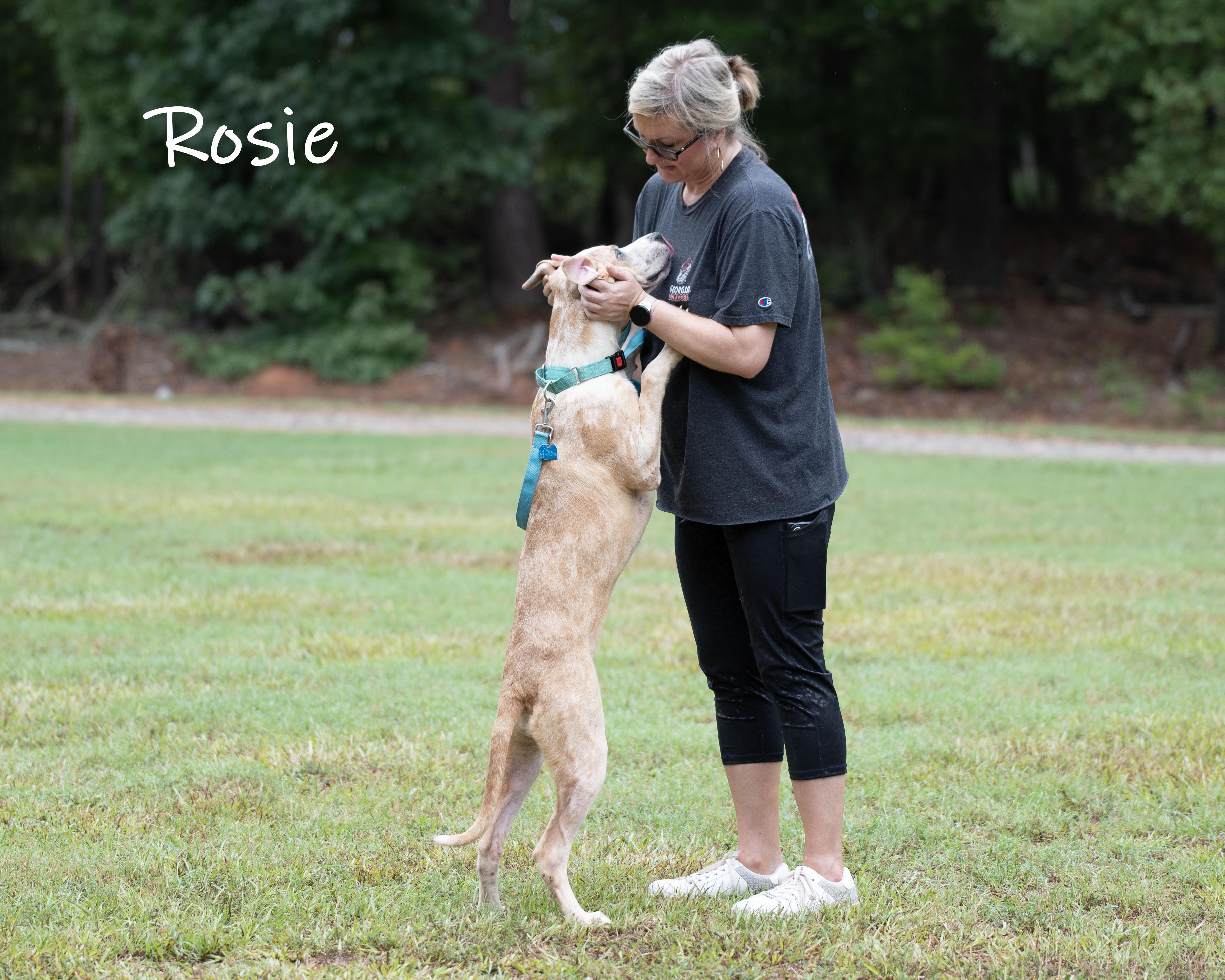 Rosie thumbnail 5
