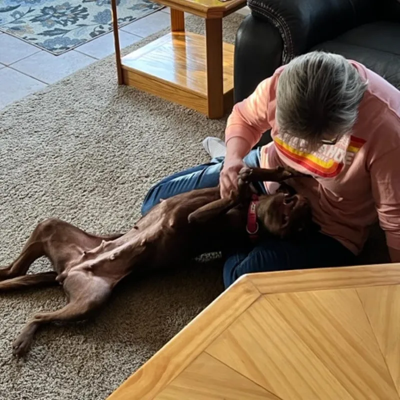Hershey thumbnail 2