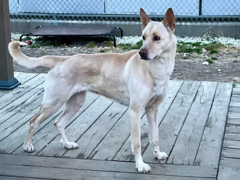 Griselda thumbnail 2