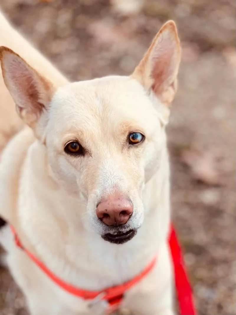 Griselda thumbnail 5