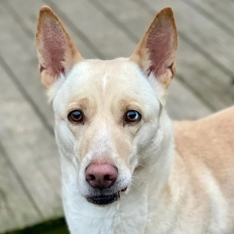 Griselda thumbnail 6