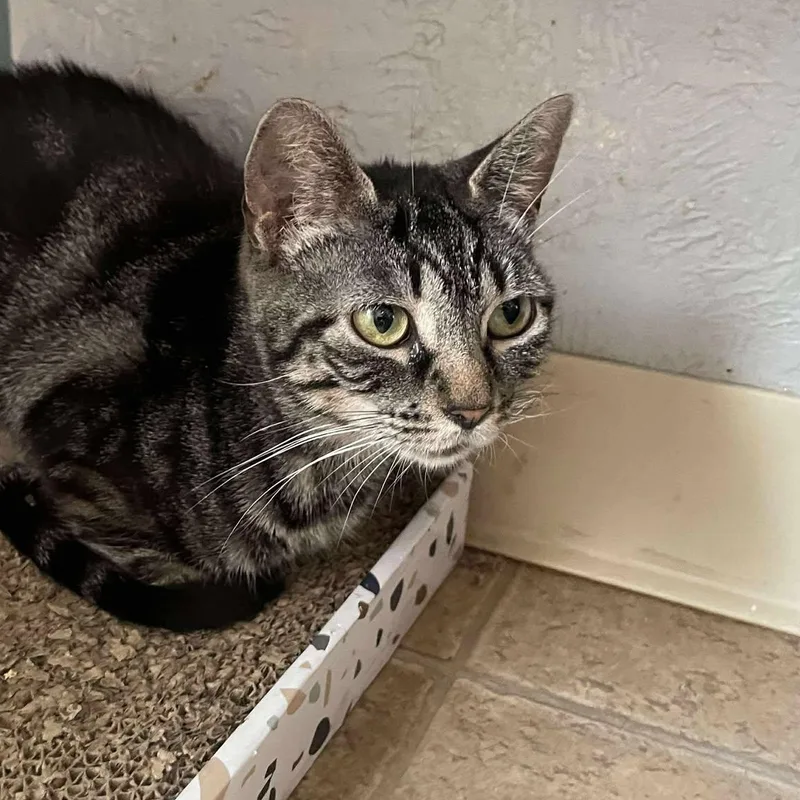 Natalie Green thumbnail 2