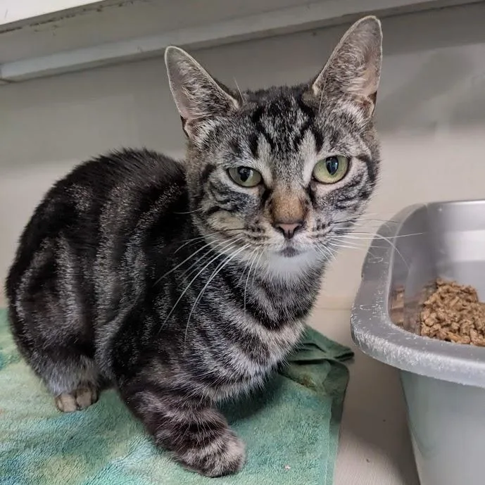 Natalie Green thumbnail 3