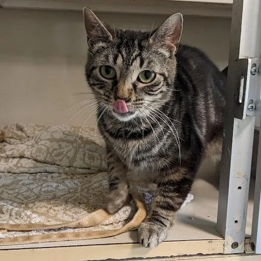 Natalie Green thumbnail 4