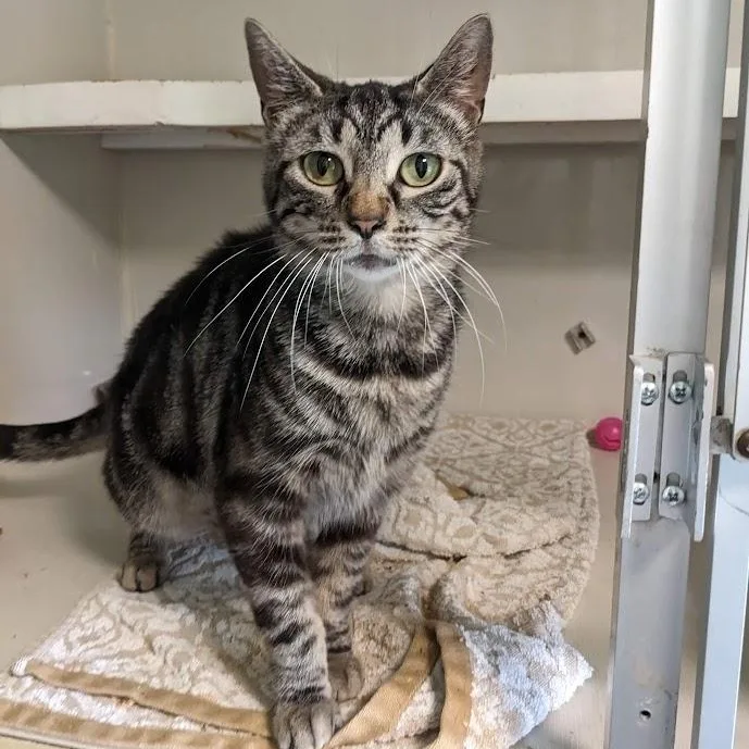 Natalie Green thumbnail 5