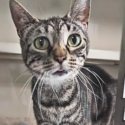 Natalie Green thumbnail 6