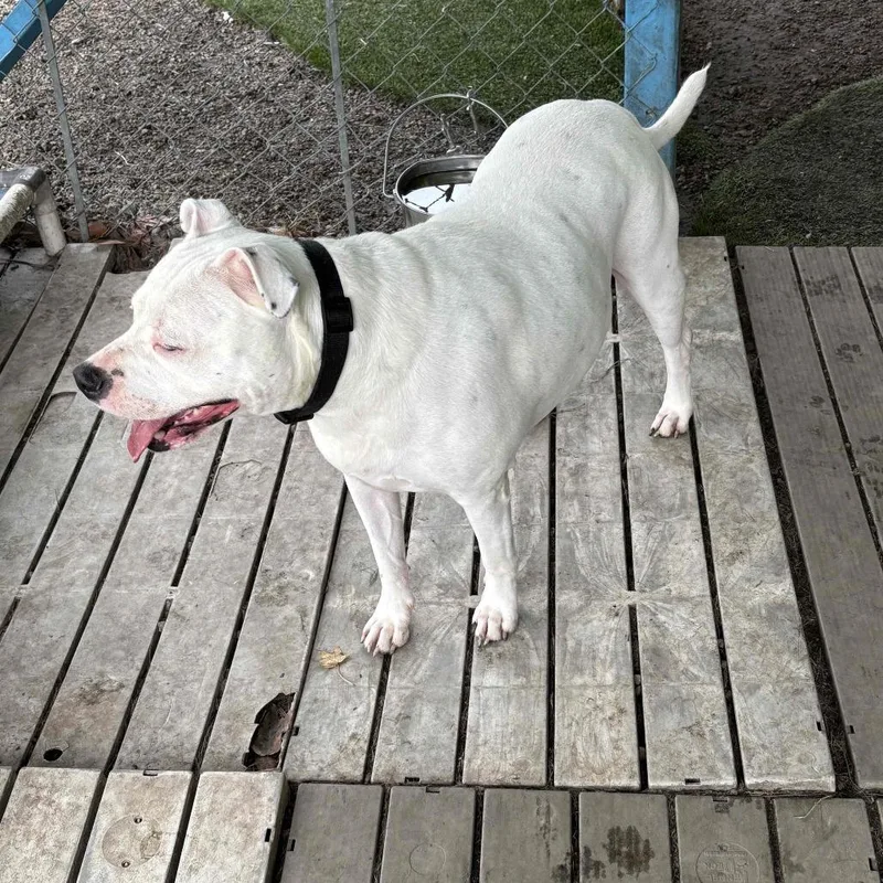 Casterly thumbnail 4