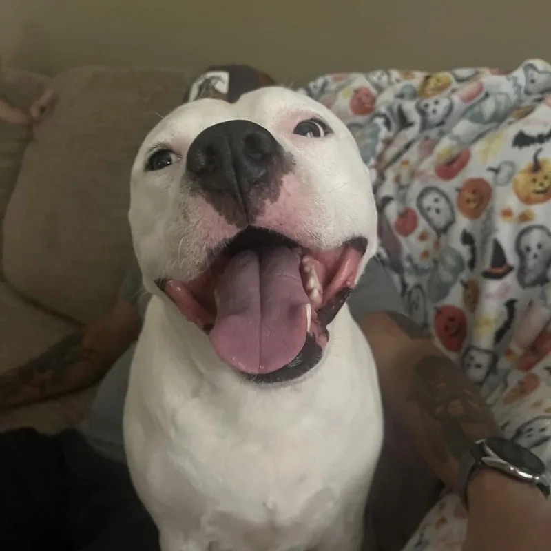 Casterly thumbnail 5