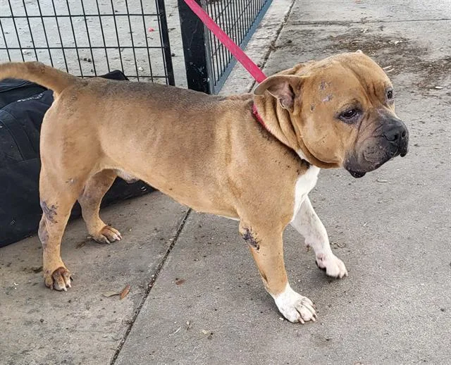 Zeus