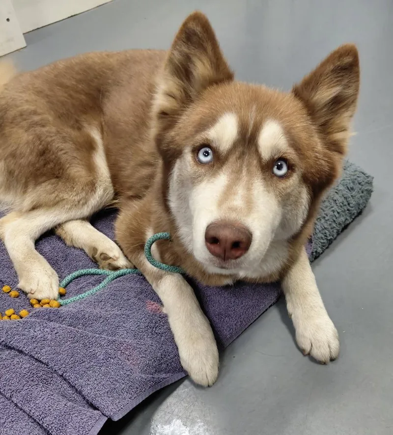 Kita