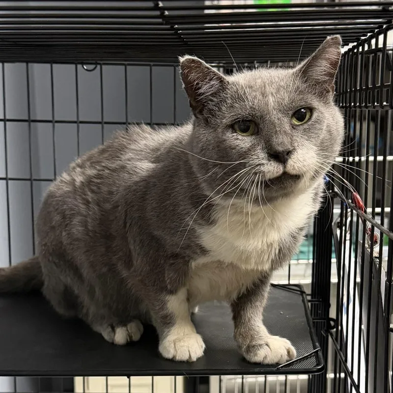 Ragnar