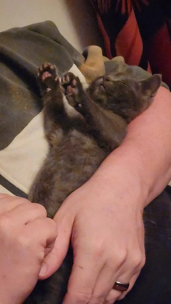Nacho thumbnail 5