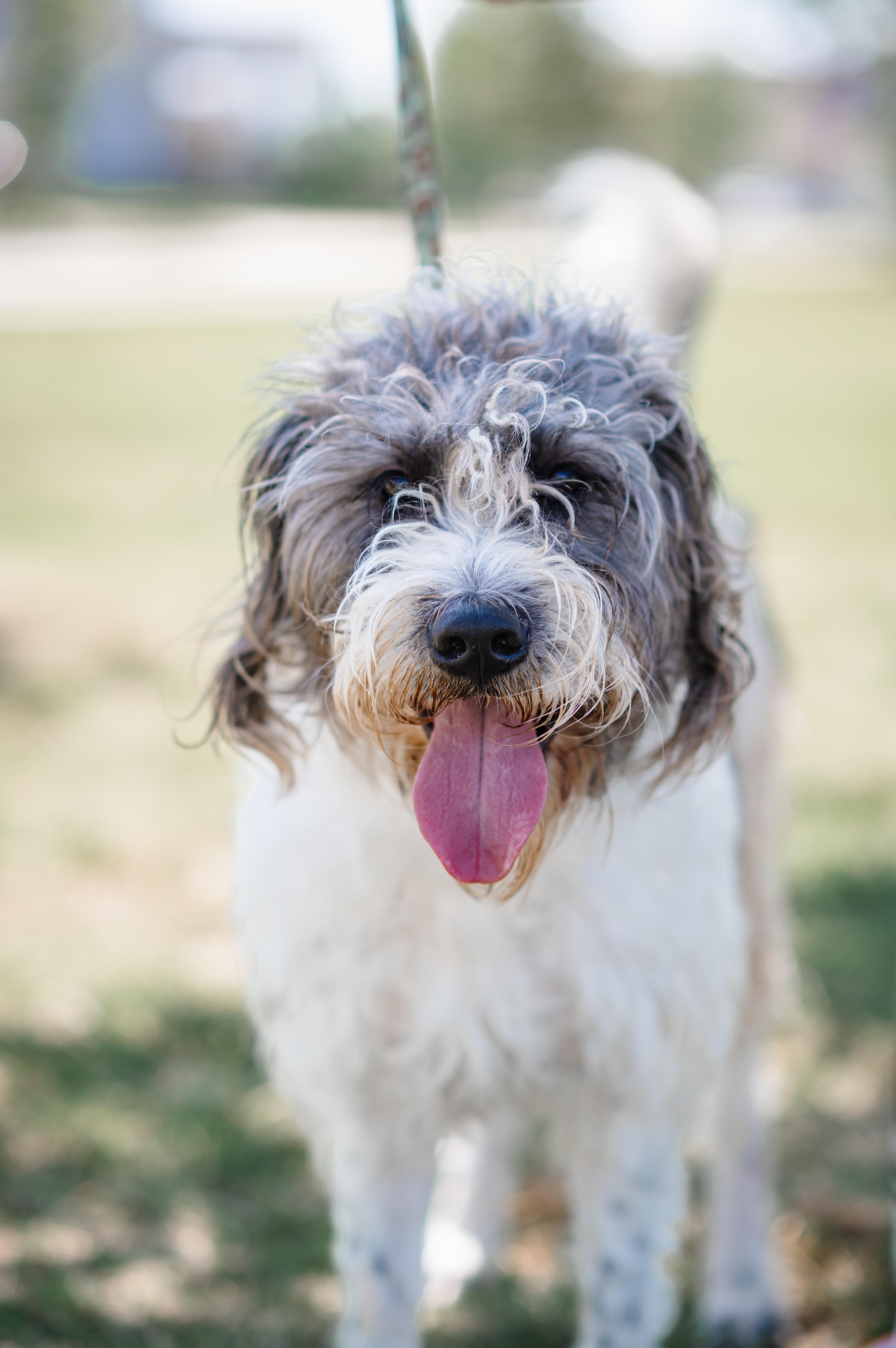 Otis: Friendly!