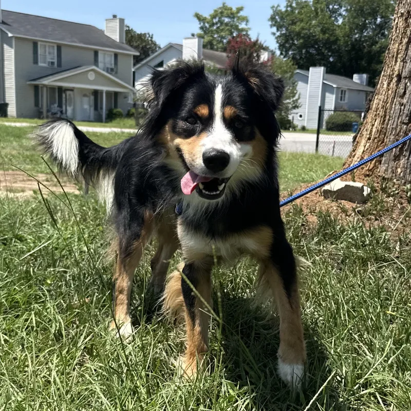 Oakley