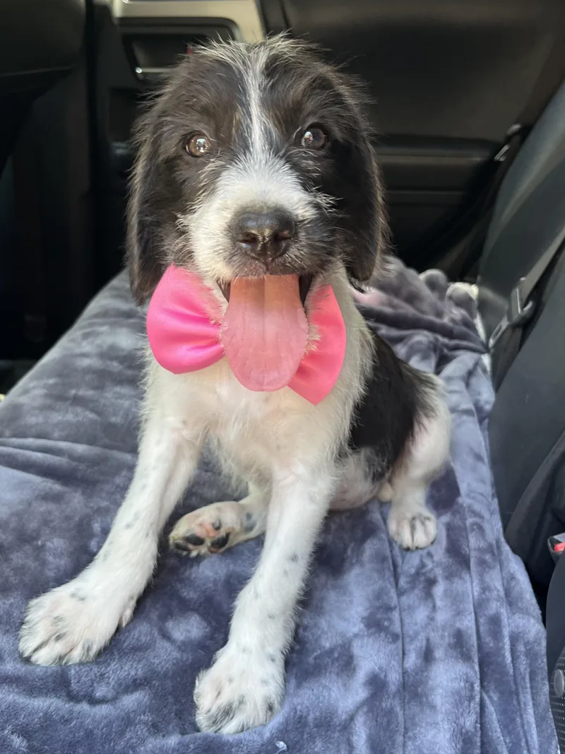 Minnie