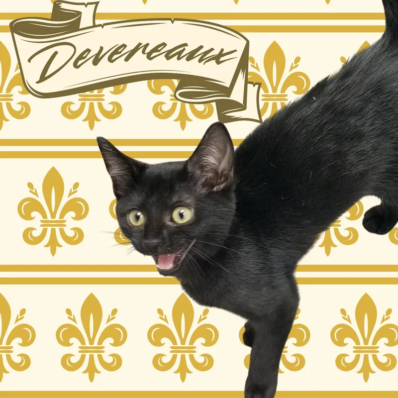 Devereaux