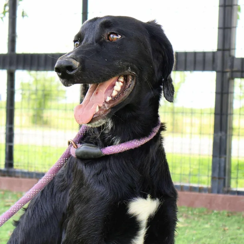 Krew Jum thumbnail 2