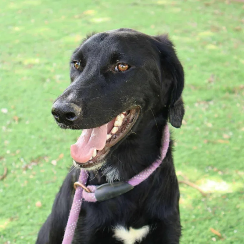 Krew Jum thumbnail 3