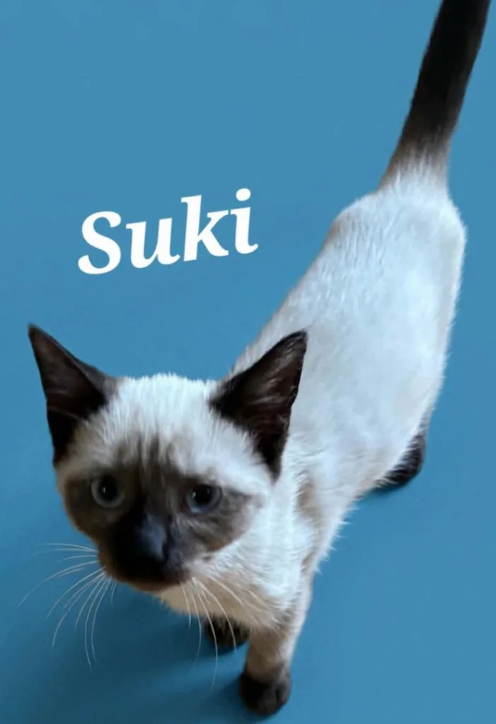 Suki
