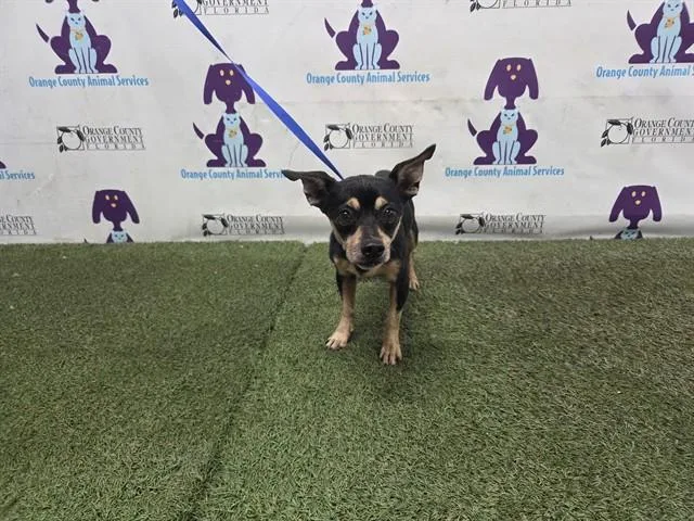 Milo