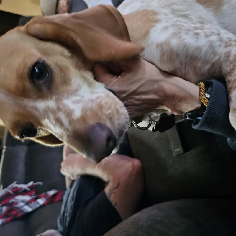 Della