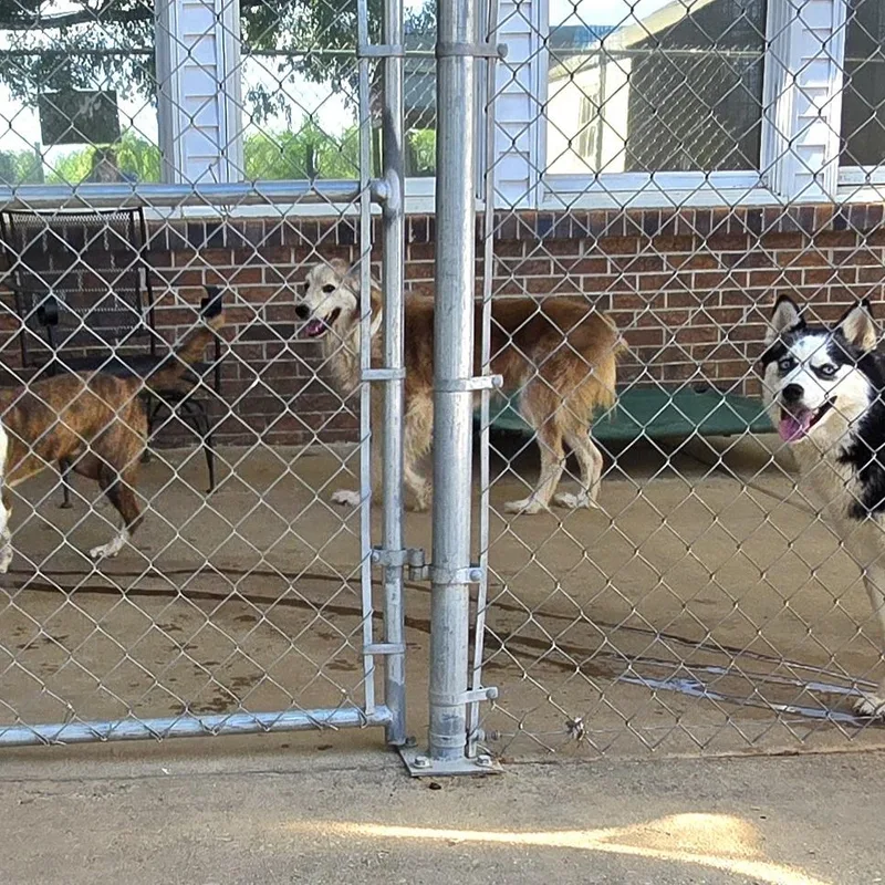 Miss Roux thumbnail 3