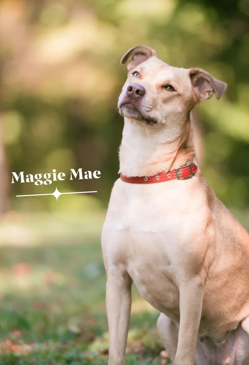 Maggie Mae thumbnail 2
