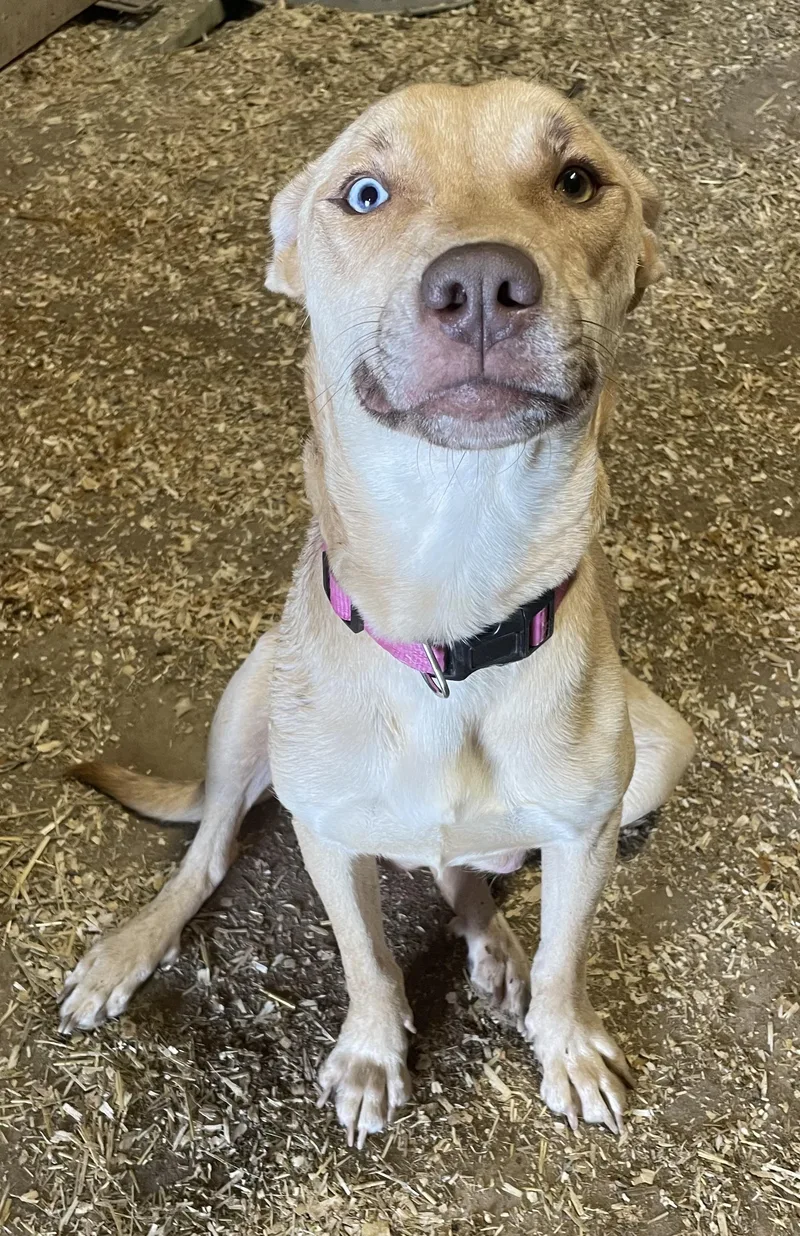 Maggie Mae thumbnail 3