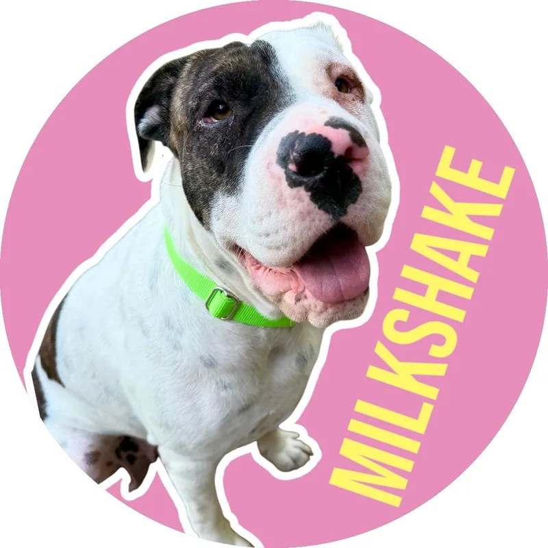 Milkshake thumbnail 3