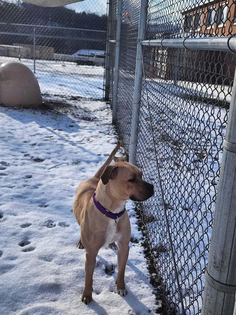 Champagne thumbnail 2