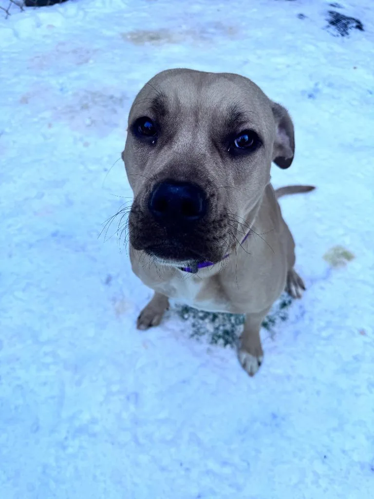 Champagne thumbnail 3