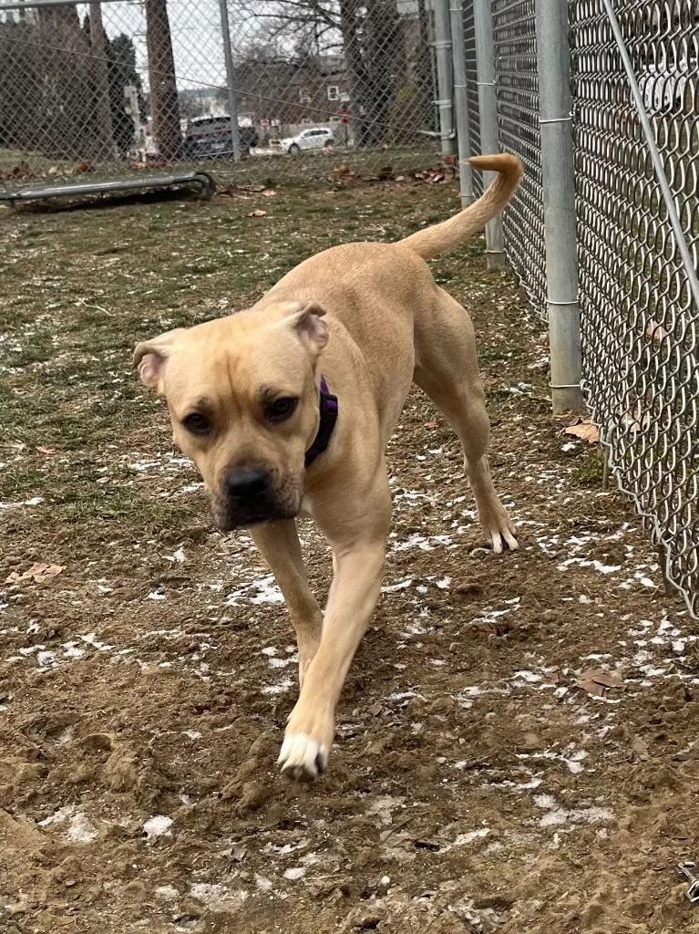 Champagne thumbnail 4