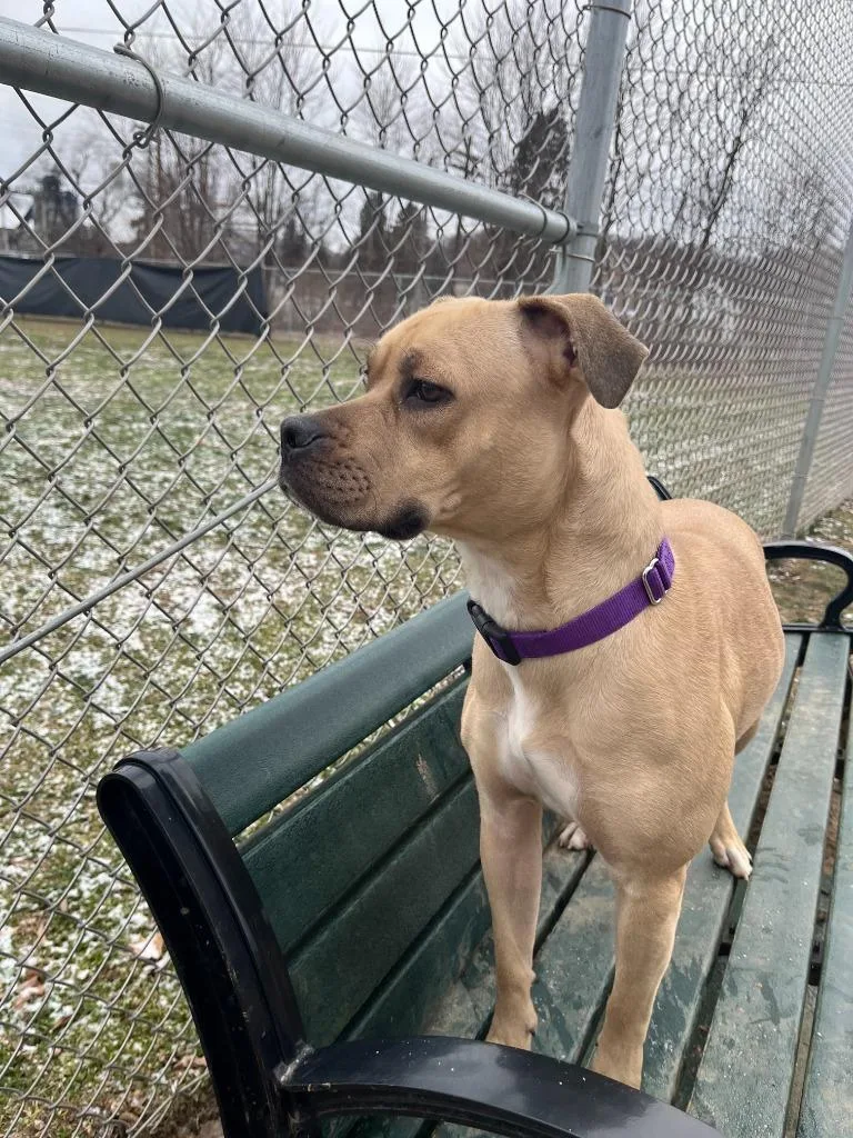 Champagne thumbnail 5