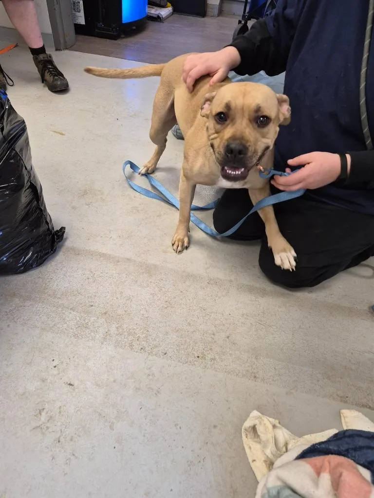 Champagne thumbnail 6