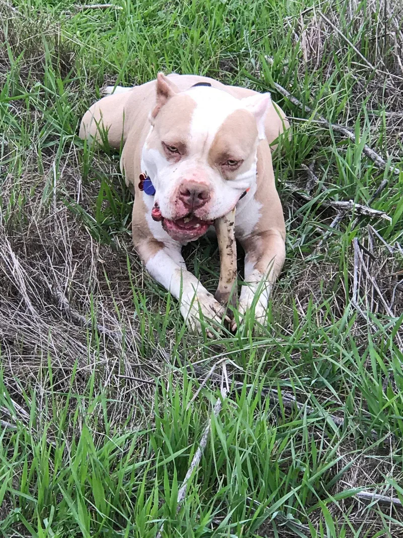 Zeus  Courtesy Listing thumbnail 2