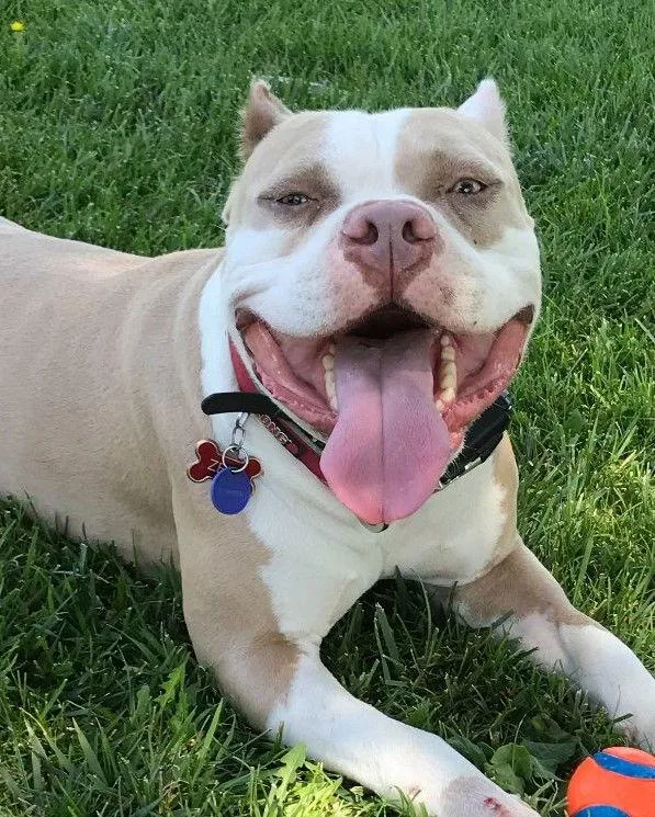 Zeus  Courtesy Listing thumbnail 3