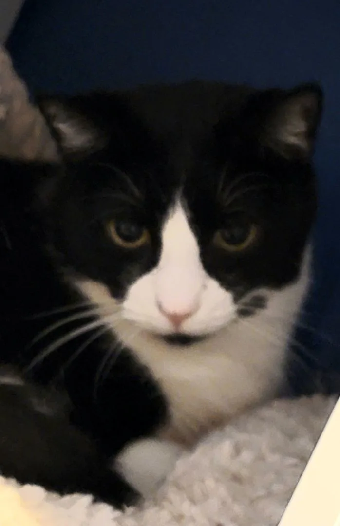 Aiden thumbnail 2
