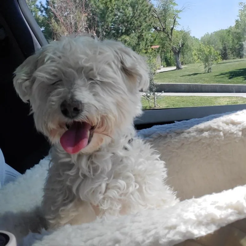 Rudy thumbnail 5