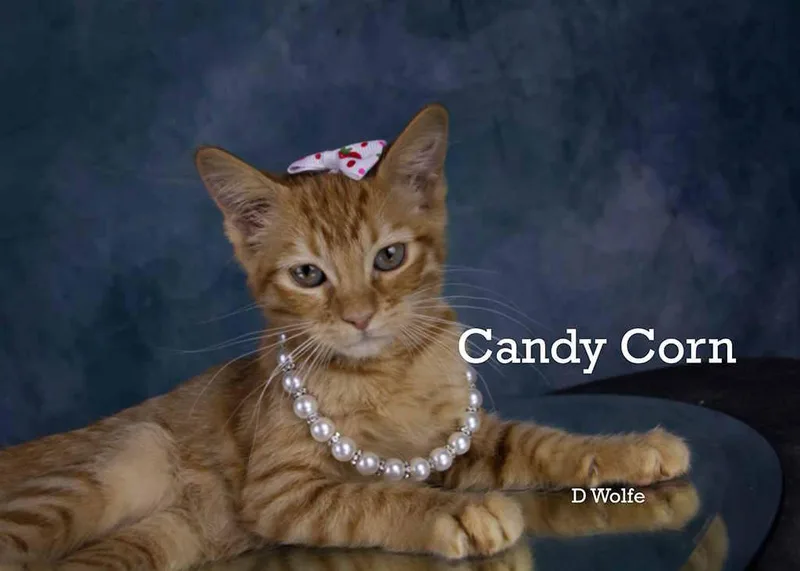 Candy Corn thumbnail 2