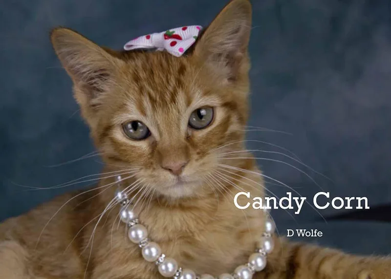 Candy Corn thumbnail 3