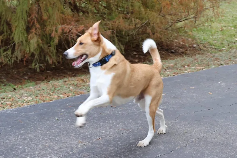 Mia And Milo thumbnail 3